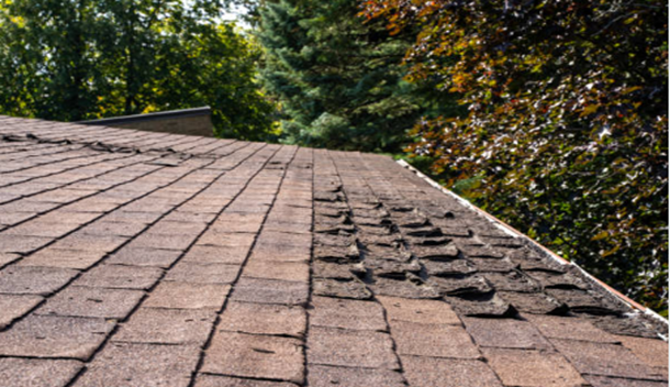 20-Year-Old-Roof.png
