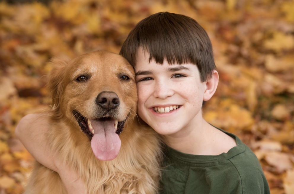 How-to-Introduce-Dogs-to-Kids