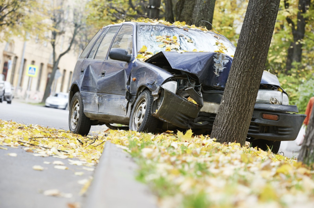 Does-My-Car-Insurance-Cover-Hitting-a-Tree