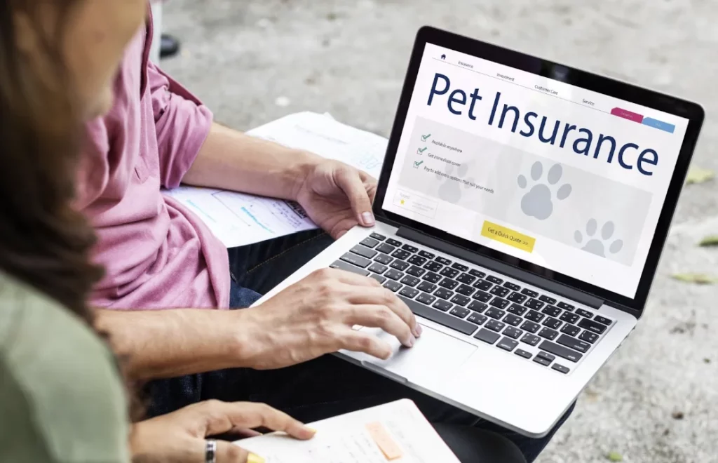 Complete-Guide-to-Pet-Insurance-Wellness-Plan